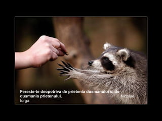 Fereste-te deopotriva de prietenia dusmanului si de dusmania prietenului.   Nicolae Iorga 