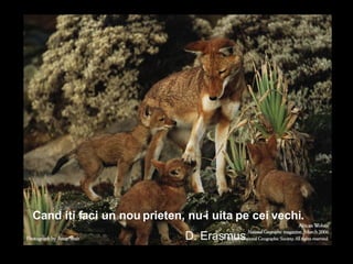 Cand iti faci un nou prieten, nu-i uita pe cei vechi.   D. Erasmus 