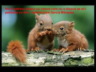 Nu iti petrece timpul cu cineva care nu e dispus sa si-l petreaca cu tine.  GabrielJosé García Márquez 