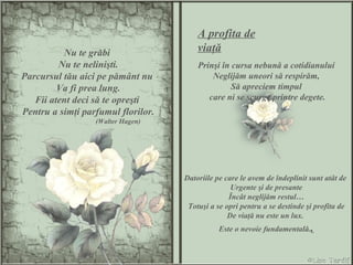 N u te grăbi  N u te nelinişti . Parcursul tău aici pe pământ nu  Va fi prea lung. Fii atent deci să te opreşti  Pentru a simţi parfumul florilor. (Walter Hagen) Prinşi în cursa nebună a cotidianului Neglijăm uneori să respirăm, Să apreciem timpul care ni se scurge printre degete. Datoriile pe care le avem de îndeplinit sunt atât de  Urgente şi de presante Încât neglijăm restul… Totuşi a se opri pentru a se destinde şi profita de De viaţă nu este un lux.  Este o nevoie fundamentală. . A profita de viaţă 