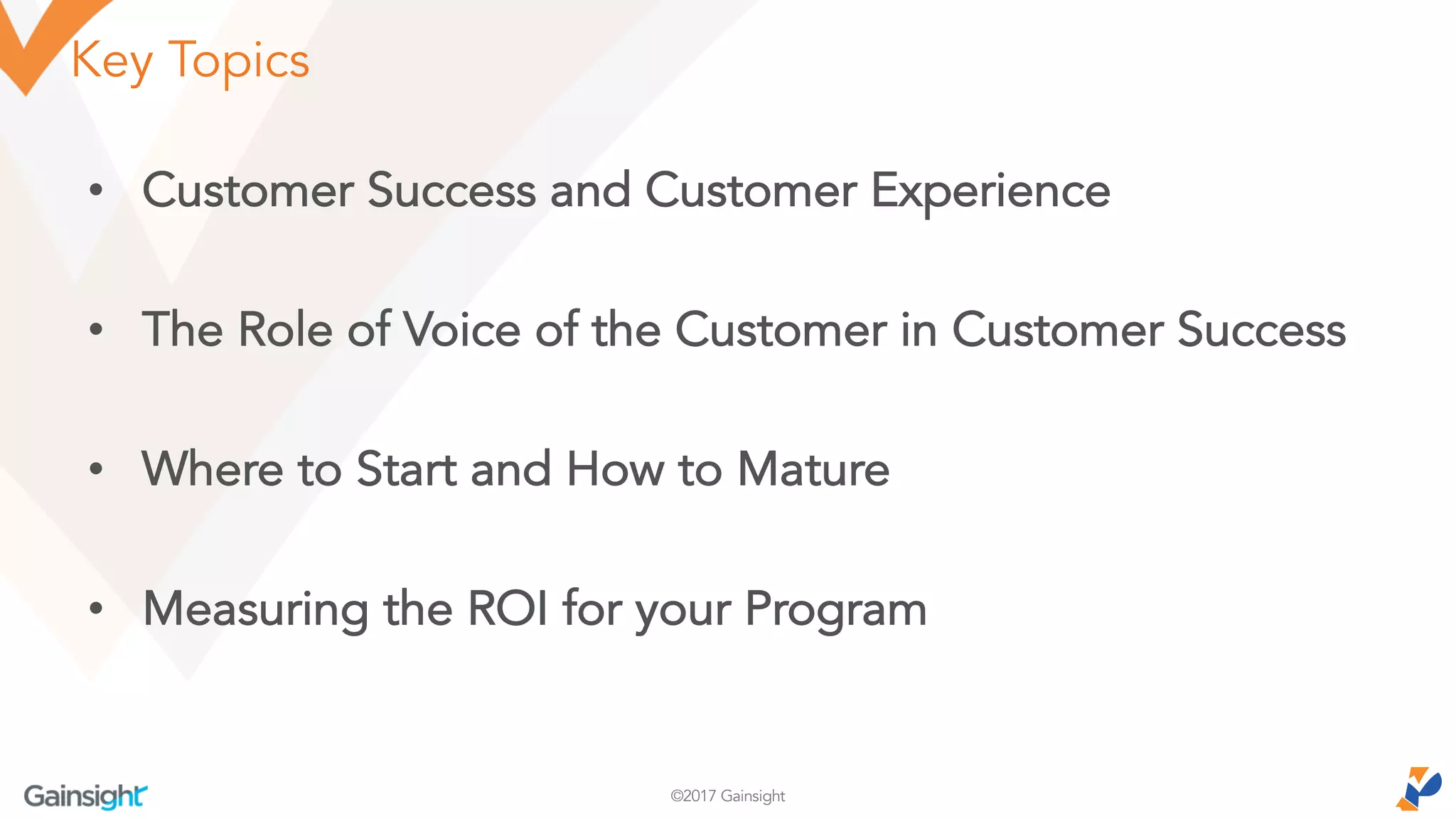 ©2017 Gainsight
Key Topics
• Customer Success and Customer Experience
• The Role of Voice of the Customer in Customer Success
• Where to Start and How to Mature
• Measuring the ROI for your Program
 