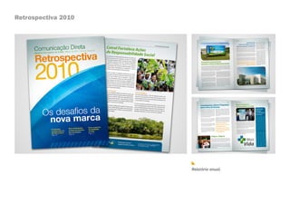 Retrospectiva 2010




                     Relatório anual.
 