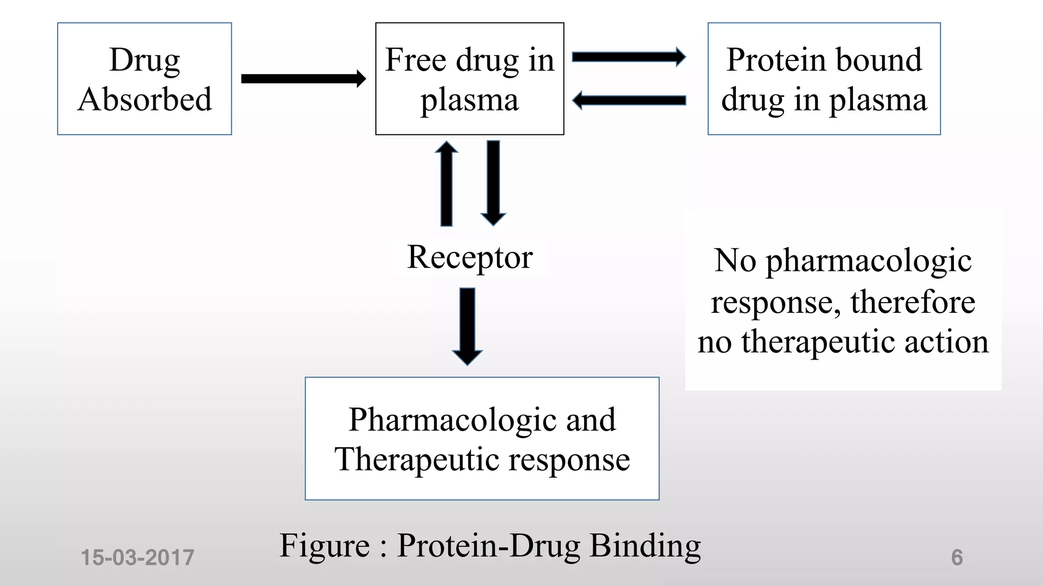 Protein Drug Binding | PPTX