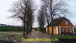 Samples from Daily Life
 