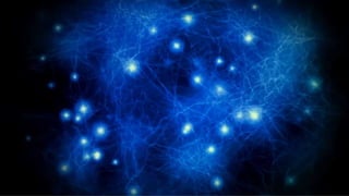 Dr Ganesh Neelakanta Iyer 56
 