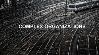 COMPLEX ORGANIZATIONS
 