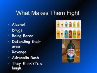 What Makes Them Fight   Alcohol  Drugs Being Bored Defending their area Revenge Adrenalin Rush They think it’s a laugh. 