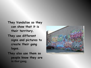 Vandalism They Vandalise so they can show that it is their territory. They use different signs and pictures to create their gang logos. They also use them so people know they are  in that gang. 