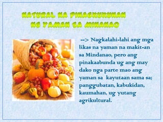 Natural naPinagkukunan ngyamansaMinanao  --> Nagkalahi-lahiangmgalikasnayamannamakit-an sa Mindanao, peroangpinakaabundaugang may dakonga parte maoangyamansakayutaansamasa; panggubatan, kabukidan, kaumahan, ugyutangagrikultural. 