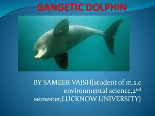 BY SAMEER VAISH{student of m.s.c
environmental science,2nd
semester,LUCKNOW UNIVERSITY}
 