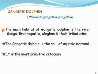 Ganga dolphin ,sameer | PPTX