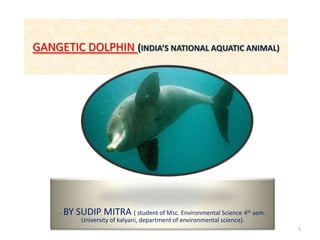 GANGETIC DOLPHIN (INDIA’S NATIONAL AQUATIC ANIMAL)
- BY SUDIP MITRA ( student of Msc. Environmental Science 4th sem.
University of kalyani, department of environmental science).
1
 