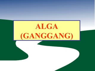 ALGA (GANGGANG) 