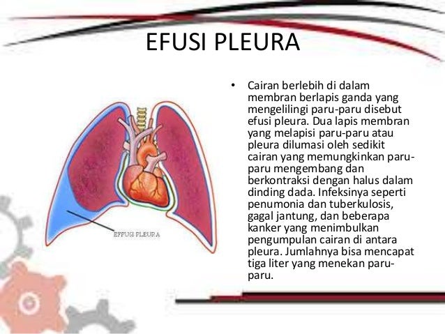 Gangguan atau penyakit pada hati dan paru paru