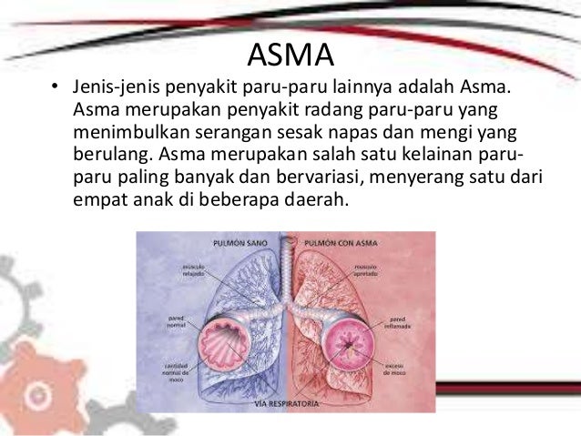 Gangguan atau penyakit pada hati dan paru paru