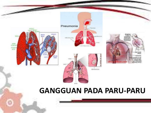 Gangguan atau penyakit pada hati dan paru paru