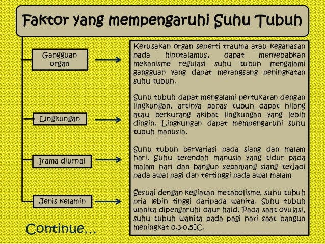 Mayoritas Faktor yang Menyebabkan Gangguan Sinyal Berupa – Community