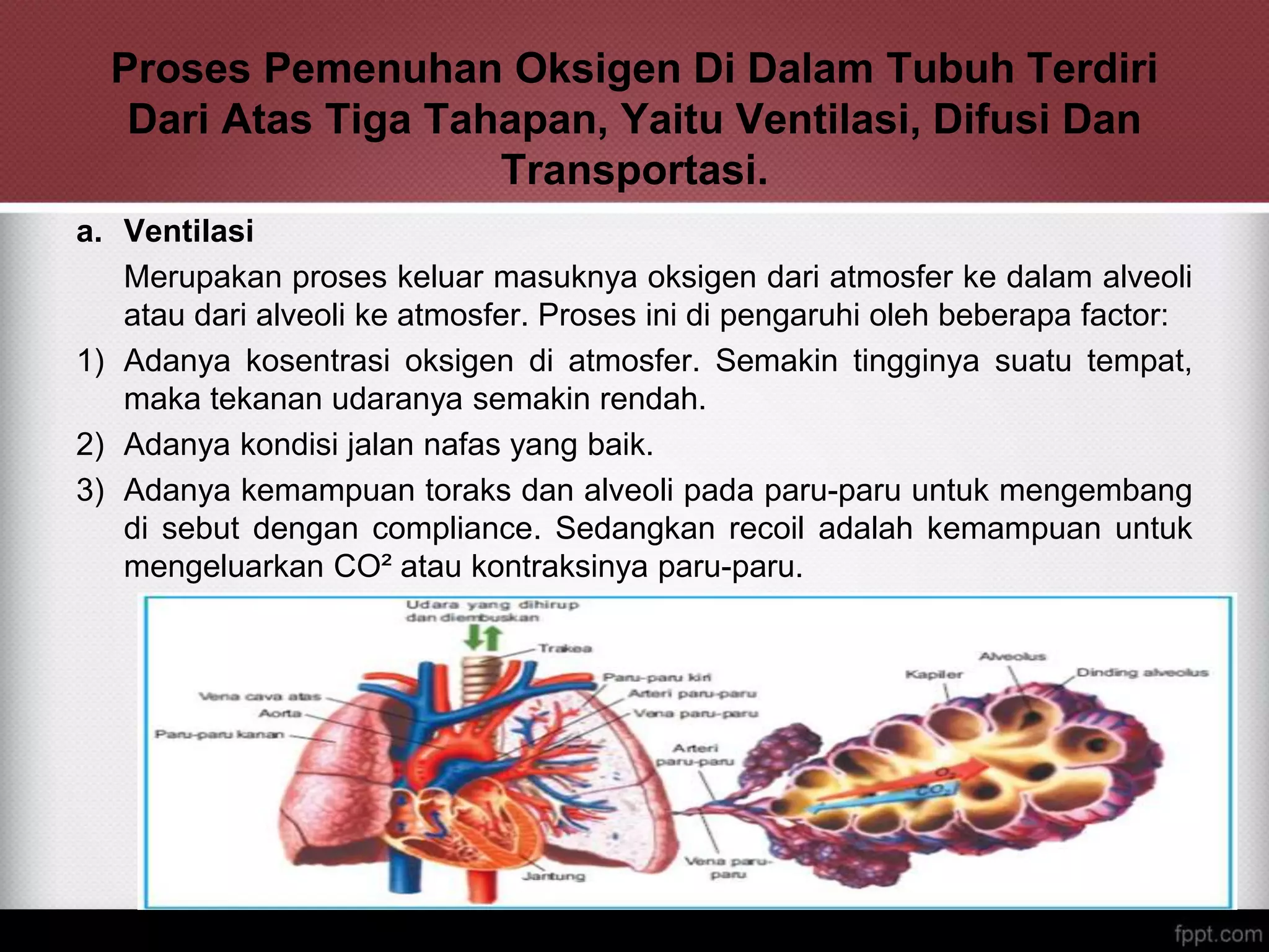 Oksigen Rendah Gangguan oksigenasi | PPTX