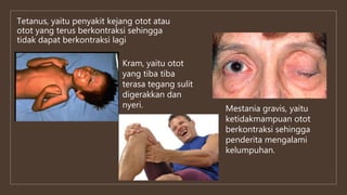 Tetanus, yaitu penyakit kejang otot atau
otot yang terus berkontraksi sehingga
tidak dapat berkontraksi lagi
Kram, yaitu otot
yang tiba tiba
terasa tegang sulit
digerakkan dan
nyeri. Mestania gravis, yaitu
ketidakmampuan otot
berkontraksi sehingga
penderita mengalami
kelumpuhan.
 
