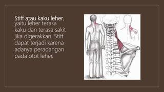 Stiff atau kaku leher,
yaitu leher terasa
kaku dan terasa sakit
jika digerakkan. Stiff
dapat terjadi karena
adanya peradangan
pada otot leher.
 
