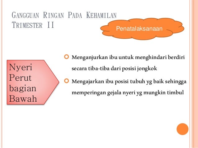 Gangguan ringan pada kehamilan