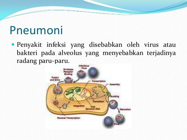 Pengaruh Pencemaran Udara Terhadap Sistem Pernapasan
