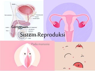 Gangguan
Sistem Reproduksi
Pada manusia
 
