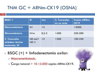 TNM GC + ARNm-CK19 (OSNA)
 BSGC (+) + linfadenectomía axilar:
 Macrometástasis.
 Carga tumoral > 10-15.000 copias ARNm-CK19.
BSGC + N mm C. Tumorales
en un corte
Copias ARNm-
CK19
Macrometástasis N1 >2 >5000
Micrometástasis N1m 0,2-2 >200 250-500
C. Tumorales
asiladas: técnica
molecular, IH
N0 mol+
N0 i+
<2 <200 100-250
10
 