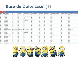 Base de Datos Excel (1)
15
 