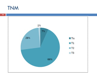 TNM
19
 