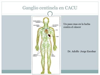Ganglio centinela en CACU
Un paso mas en la lucha
contra el cáncer
Dr. Adolfo Jorge Escobar
 