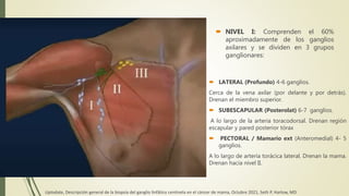  NIVEL I: Comprenden el 60%
aproximadamente de los ganglios
axilares y se dividen en 3 grupos
ganglionares:
 LATERAL (Profundo) 4-6 ganglios.
Cerca de la vena axilar (por delante y por detrás).
Drenan el miembro superior.
 SUBESCAPULAR (Posterolat) 6-7 ganglios.
A lo largo de la arteria toracodorsal. Drenan región
escapular y pared posterior tórax
 PECTORAL / Mamario ext (Anteromedial) 4- 5
ganglios.
A lo largo de arteria torácica lateral. Drenan la mama.
Drenan hacia nivel II.
Uptodate, Descripción general de la biopsia del ganglio linfático centinela en el cáncer de mama, Octubre 2021, Seth P. Harlow, MD
 