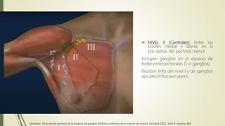  NIVEL II (Centrales): Entre los
bordes medial y lateral, en la
por detrás del pectoral menor.
Incluyen ganglios en el espacio de
Rotter/interpectorales (1-4 ganglios).
Reciben linfa del nivel I y de ganglios
apicales/infraclaviculares.
Uptodate, Descripción general de la biopsia del ganglio linfático centinela en el cáncer de mama, Octubre 2021, Seth P. Harlow, MD
 