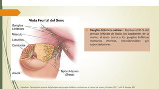  Ganglios linfáticos axilares: Reciben el 85 % del
drenaje linfático de todos los cuadrantes de la
mama; el resto drena a los ganglios linfáticos
mamarios internos, infraclaviculares y/o
supraclaviculares.
Uptodate, Descripción general de la biopsia del ganglio linfático centinela en el cáncer de mama, Octubre 2021, Seth P. Harlow, MD
 