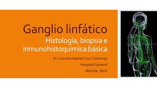 Ganglio linfático
Histología,biopsia e
inmunohistoquímica básica
Dr. Luis Humberto Cruz Contreras
Hospital General
Morelia, Mich
 