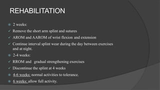 REHABILITATION
 2 weeks:
 Remove the short arm splint and sutures
 AROM and AAROM of wrist flexion and extension
 Continue interval splint wear during the day between exercises
and at night.
 2-4 weeks:
 RROM and gradual strengthening exercises
 Discontinue the splint at 4 weeks
 4-6 weeks: normal activities to tolerance.
 6 weeks: allow full activity.
 