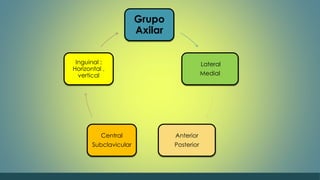 Grupo 
Axilar 
Lateral 
Medial 
Anterior 
Posterior 
Inguinal : 
Horizontal , 
vertical 
Central 
Subclavicular 
 