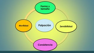Forma y 
tamaño 
Palpación 
Sensibilidad 
Consistencia 
Movilidad 
 
