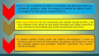 • La linfa es un líquido incoloro compuesto de glóbulos blancos, 
proteínas, grasas y sales. Se transporta desde los tejidos hasta 
la sangre a través de los vasos linfáticos. 
• Los vasos linfáticos son los conductos por donde circula la linfa y son 
muy similares a las venas ya que están formados por tejido conjuntivo y 
unas válvulas en las paredes que evitan el retroceso de la linfa. 
• El sistema linfático forma parte del sistema inmunológico y entre sus 
funciones está el activar los mecanismos de defensa del cuerpo en contra 
de cualquier agente que considere “extraño” (bacterias, virus, toxinas , 
células tumorales. 
 