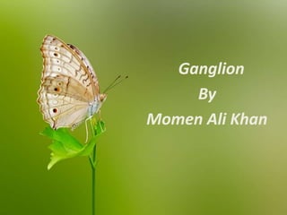Ganglion
By
Momen Ali Khan