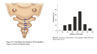 Par Inpar Block Ganglion Impar Block- Dr Minhaj Akhter ppt.pdf