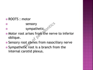 Sensorial Roots Ganglions | PPTX
