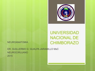 UNIVERSIDAD
NACIONAL DE
CHIMBORAZONEUROANATOMIA
DR. GUILLERMO G GUALPA JARAMILLO MsC
NEUROCIRUJANO
2015
 