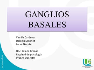 GANGLIOS
BASALES
Camila Cárdenas
Daniela Sánchez
Laura Narváez
Doc. Liliana Bernal
Facultad de psicología
Primer semestre
 