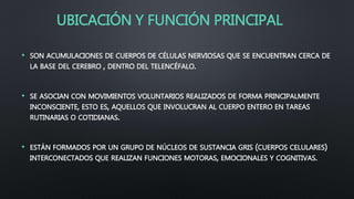 UBICACIÓN Y FUNCIÓN PRINCIPAL
• SON ACUMULACIONES DE CUERPOS DE CÉLULAS NERVIOSAS QUE SE ENCUENTRAN CERCA DE
LA BASE DEL CEREBRO , DENTRO DEL TELENCÉFALO.
• SE ASOCIAN CON MOVIMIENTOS VOLUNTARIOS REALIZADOS DE FORMA PRINCIPALMENTE
INCONSCIENTE, ESTO ES, AQUELLOS QUE INVOLUCRAN AL CUERPO ENTERO EN TAREAS
RUTINARIAS O COTIDIANAS.
• ESTÁN FORMADOS POR UN GRUPO DE NÚCLEOS DE SUSTANCIA GRIS (CUERPOS CELULARES)
INTERCONECTADOS QUE REALIZAN FUNCIONES MOTORAS, EMOCIONALES Y COGNITIVAS.
 