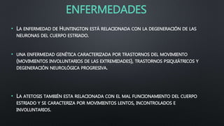 ENFERMEDADES
• LA ENFERMEDAD DE HUNTINGTON ESTÁ RELACIONADA CON LA DEGENERACIÓN DE LAS
NEURONAS DEL CUERPO ESTRIADO.
• UNA ENFERMEDAD GENÉTICA CARACTERIZADA POR TRASTORNOS DEL MOVIMIENTO
(MOVIMIENTOS INVOLUNTARIOS DE LAS EXTREMIDADES), TRASTORNOS PSIQUIÁTRICOS Y
DEGENERACIÓN NEUROLÓGICA PROGRESIVA.
• LA ATETOSIS TAMBIÉN ESTA RELACIONADA CON EL MAL FUNCIONAMIENTO DEL CUERPO
ESTRIADO Y SE CARACTERIZA POR MOVIMIENTOS LENTOS, INCONTROLADOS E
INVOLUNTARIOS.
 