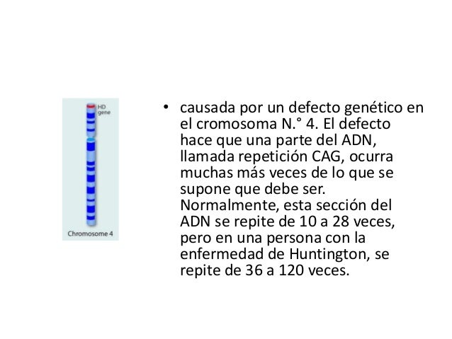 Ganglios basales, enfermedad de huntington y parkinson Ganglios basales, enfermedad de huntington y parkinson