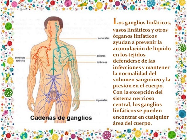 Ganglios linfaticos