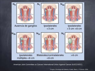 American Joint Committee on Cancer/ International Union Against Cancer (AJCC/UICC)
Cirugía y Oncología de Cabeza y Cuello....