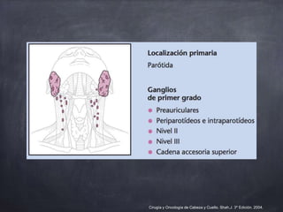 Cirugía y Oncología de Cabeza y Cuello. Shah,J. 3º Edición. 2004.
 